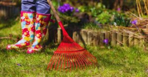 Eco-Friendly Approaches to Garden Clearance